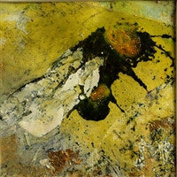 Curious Bee by ​Kathleen Thorsen