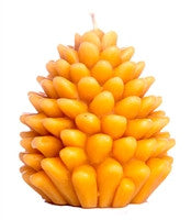 Rustic Handmade Pine Cone Candle, rosewood winery Niagara.