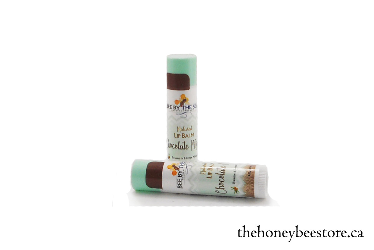 Bee by The Sea Chocolate Mint Lip Balm