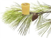 BEESWAX VOTIVE - KOOTENAY FOREST