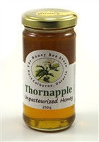 THORNAPPLE