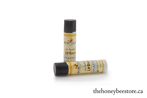 Bee by The Sea Spearmint Lip Balm